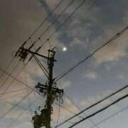 ヒメ日記 2025/01/05 20:00 投稿 せら アラモード