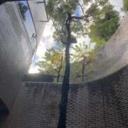 ヒメ日記 2025/01/08 20:00 投稿 せら アラモード