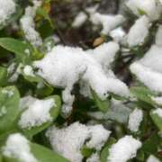 ヒメ日記 2025/01/10 09:21 投稿 せら アラモード