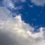 ヒメ日記 2025/01/13 12:00 投稿 せら アラモード