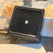 ヒメ日記 2025/01/27 20:00 投稿 せら アラモード