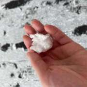 ヒメ日記 2025/02/08 11:02 投稿 せら アラモード