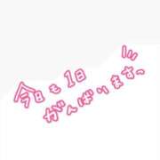 ヒメ日記 2025/02/12 09:45 投稿 せら アラモード