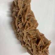 ヒメ日記 2025/02/14 21:31 投稿 せら アラモード