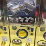 ヒメ日記 2025/02/20 20:00 投稿 せら アラモード