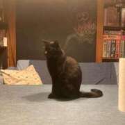 ヒメ日記 2025/02/22 20:00 投稿 せら アラモード