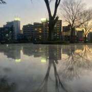 ヒメ日記 2025/02/25 20:00 投稿 せら アラモード