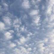 ヒメ日記 2025/03/03 20:00 投稿 せら アラモード