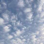 ヒメ日記 2025/03/09 20:00 投稿 せら アラモード