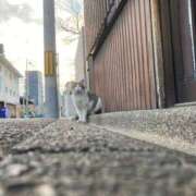 ヒメ日記 2025/03/13 20:00 投稿 せら アラモード