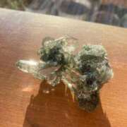 ヒメ日記 2025/03/16 20:00 投稿 せら アラモード