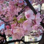 ヒメ日記 2025/03/18 20:02 投稿 せら アラモード