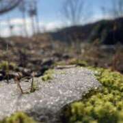 ヒメ日記 2025/03/24 20:00 投稿 せら アラモード