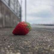 ヒメ日記 2025/03/25 20:00 投稿 せら アラモード