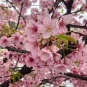 ヒメ日記 2025/03/28 20:00 投稿 せら アラモード