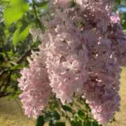 ヒメ日記 2025/05/10 12:56 投稿 せら アラモード