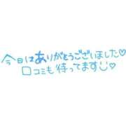 ヒメ日記 2025/05/30 12:15 投稿 せら アラモード