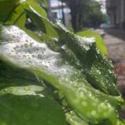 ヒメ日記 2025/06/01 20:00 投稿 せら アラモード