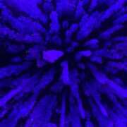 ヒメ日記 2025/10/02 20:00 投稿 せら アラモード