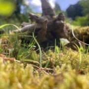 ヒメ日記 2025/10/04 20:00 投稿 せら アラモード