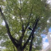 ヒメ日記 2025/10/17 17:00 投稿 せら アラモード