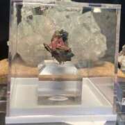 ヒメ日記 2025/10/18 17:00 投稿 せら アラモード