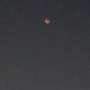 ヒメ日記 2025/10/22 16:30 投稿 せら アラモード