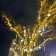 ヒメ日記 2025/10/26 19:15 投稿 せら アラモード