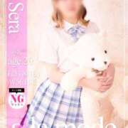 ヒメ日記 2025/11/05 15:45 投稿 せら アラモード