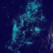 ヒメ日記 2025/11/10 17:45 投稿 せら アラモード