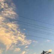 ヒメ日記 2025/11/11 17:30 投稿 せら アラモード