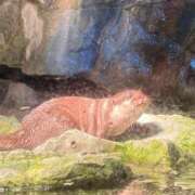 ヒメ日記 2025/11/18 20:00 投稿 せら アラモード