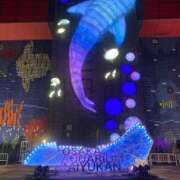 ヒメ日記 2025/11/21 20:00 投稿 せら アラモード