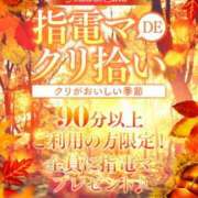 ヒメ日記 2024/10/10 11:37 投稿 あおい One More 奥様　五反田店