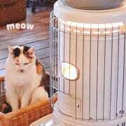 ヒメ日記 2026/01/06 07:37 投稿 あおい One More 奥様　五反田店