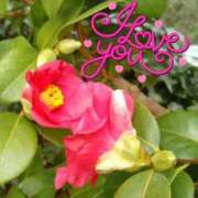 ヒメ日記 2026/01/30 07:47 投稿 あおい One More 奥様　五反田店