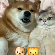 ヒメ日記 2026/01/30 19:51 投稿 あおい One More 奥様　五反田店