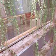 ヒメ日記 2026/02/01 18:18 投稿 あおい One More 奥様　五反田店