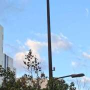 ヒメ日記 2026/02/02 07:27 投稿 あおい One More 奥様　五反田店