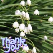 ヒメ日記 2026/02/04 12:48 投稿 あおい One More 奥様　五反田店