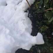 ヒメ日記 2026/02/09 07:28 投稿 あおい One More 奥様　五反田店