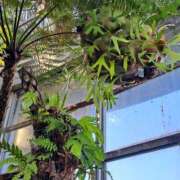 ヒメ日記 2026/03/10 07:27 投稿 あおい One More 奥様　五反田店