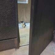 ヒメ日記 2025/11/12 18:30 投稿 桜空(さら) 高知デリヘル倶楽部 人妻熟女専門店