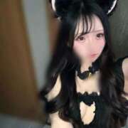 りの ねこてやん ドMな逆バニーちゃん　すすきの店