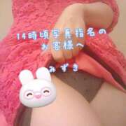 ヒメ日記 2025/02/11 19:42 投稿 みずき プレイガール(亀有)