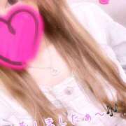 ヒメ日記 2024/12/08 18:52 投稿 せりな 熟女家 堺東店