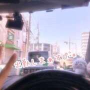 ヒメ日記 2025/03/20 12:53 投稿 せりな 熟女家 堺東店