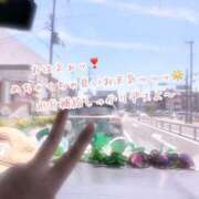 ヒメ日記 2025/05/08 13:18 投稿 せりな 熟女家 堺東店