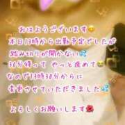 ヒメ日記 2025/07/06 12:27 投稿 せりな 熟女家 堺東店