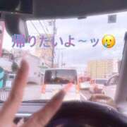 ヒメ日記 2026/06/29 19:37 投稿 せりな 熟女家 堺東店